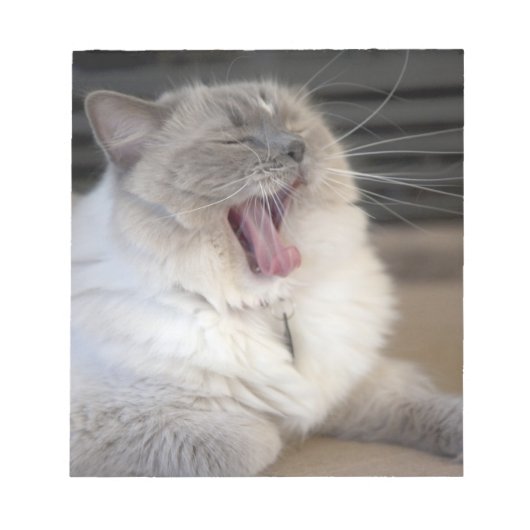ネヴァマスカレード猫のあくび ノートパッド (正面)