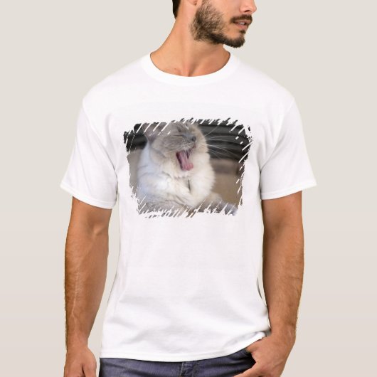 ネヴァマスカレード猫のあくび Tシャツ (正面)
