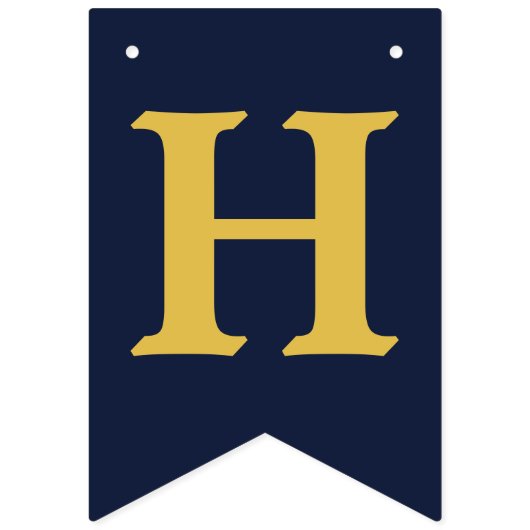 ネービーイエロー応援ズアンドビールズアニーエイジ誕生日 バンティングフラッグ (第2の旗)