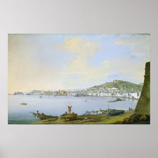 ネープルの表示 ポスター (正面)