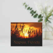 ネープルフロリダサンセットポストカード ポストカード (スタンド正面)
