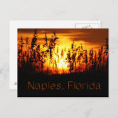 ネープルフロリダサンセットポストカード ポストカード (正面/裏面)