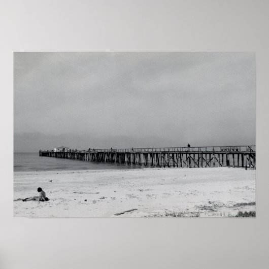 ネープルフロリダピア ポスター (正面)