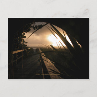 ネープル・サンセット ポストカード