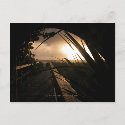 ネープル・サンセット ポストカード (正面)