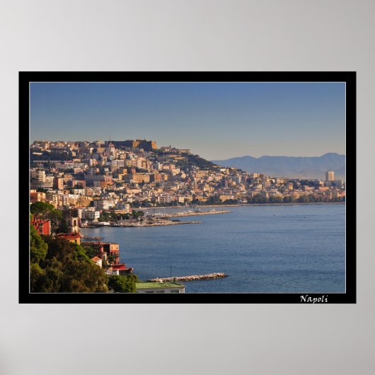 ネープル ポスター (正面)