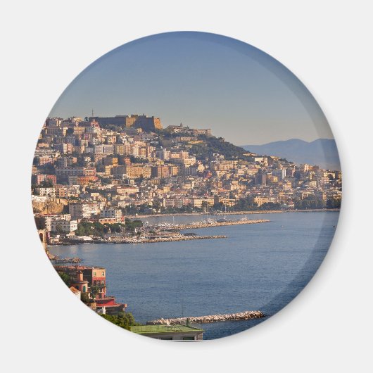 ネープル マグネット (正面)