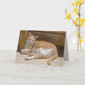 ネームデイタブビーキャット昼寝カード カード (黄色い花)