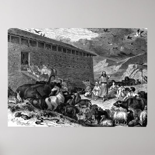 ノアと箱舟 ポスター (正面)