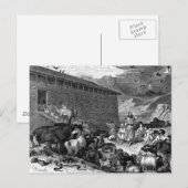 ノアと箱舟 ポストカード (正面/裏面)