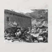 ノアと箱舟 ポストカード (正面)