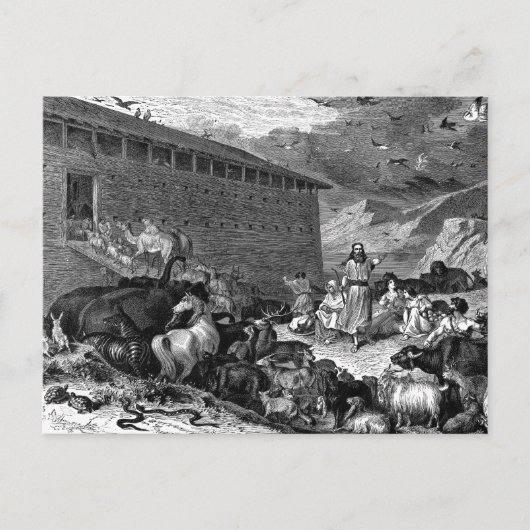 ノアと箱舟 ポストカード (正面)