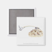 ノアの箱舟と動物のイラストレーション離れ マグネット (正面/裏面)