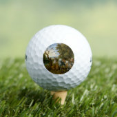 ノアの箱舟への動物の侵入 ゴルフボール (インサイチュ 木)