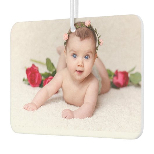 ノアの箱舟 カーエアーフレッシュナー (左)