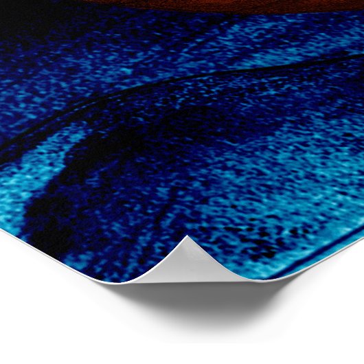 ノアの箱舟 ポスター (角)