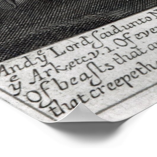 ノアは箱舟を願う ポスター (角)