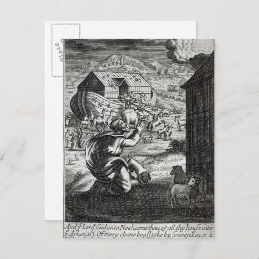 ノアは箱舟を願う ポストカード (正面/裏面)