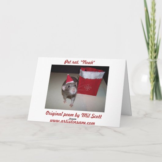 ノアクリスマスカード2 シーズンカード (裏面)