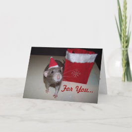 ノアクリスマスカード2 シーズンカード