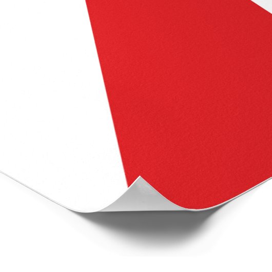 ノアズキャンディバー誕生日カーニバル標識 ポスター (角)