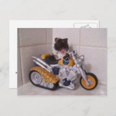 ノア周期 ポストカード (正面/裏面)