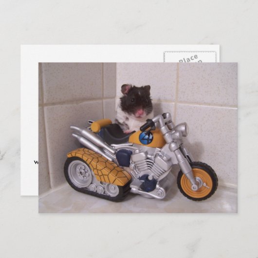 ノア周期 ポストカード (正面/裏面)