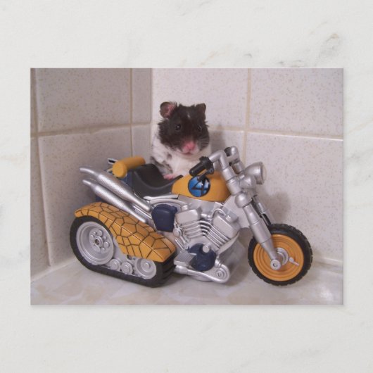 ノア周期 ポストカード (正面)