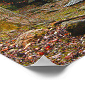 ノア"バド"オグルキャビンでスモーク ポスター (角)