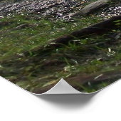 ノア"バド"オグルキャビン ポスター (角)