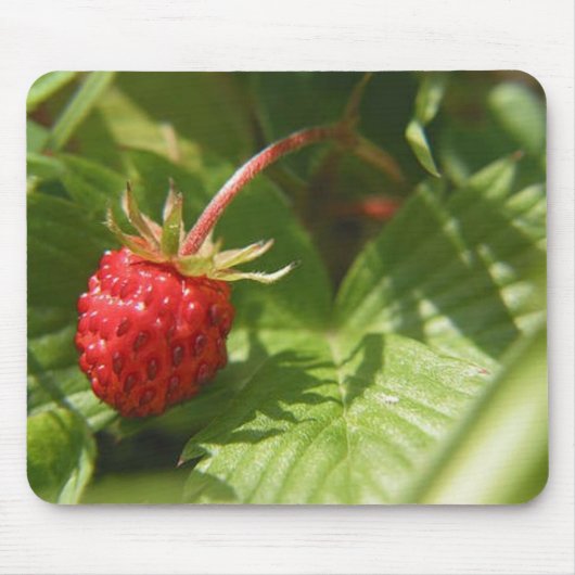 ノイチゴ マウスパッド (正面)