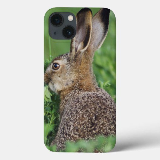 ノウサギ, Lepus europaeus, 幼体, 食べる Case-Mate iPhoneケース (裏面)