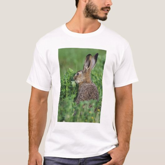 ノウサギ, Lepus europaeus, 幼体, 食べる Tシャツ (正面)