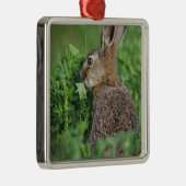 ノウサギ、Lepus europaeus、若いノウサギが食べている メタルオーナメント (右)
