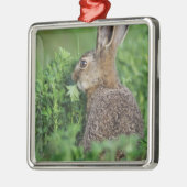 ノウサギ、Lepus europaeus、若いノウサギが食べている メタルオーナメント (左)