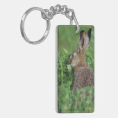 ノウサギ、Lepus europaeus、若い、食べる キーホルダー (正面左)