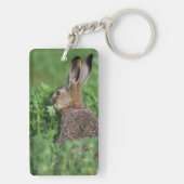 ノウサギ、Lepus europaeus、若い、食べる キーホルダー (裏面)