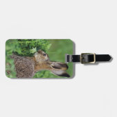 ノウサギ、Lepus europaeus、若い、食べる ラゲッジタグ (正面横)