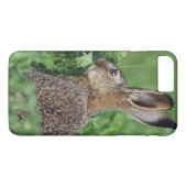 ノウサギ、Lepus europaeus、若い、食べる Case-Mate iPhoneケース (裏面(横))