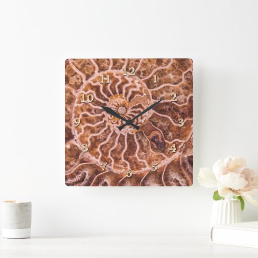 ノウチラス古代スパイラル スクエア壁時計 (ホーム)