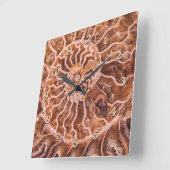 ノウチラス古代スパイラル スクエア壁時計 (傾斜)