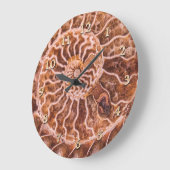 ノウチラス古代スパイラル ラージ壁時計 (傾斜)