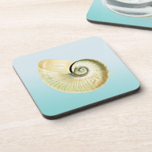 ノウチラス貝 コースター (左側)