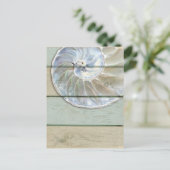 ノウチラス貝 ポストカード (スタンド正面)