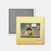 ノウルが盗んだ！ マグネット (正面/裏面)