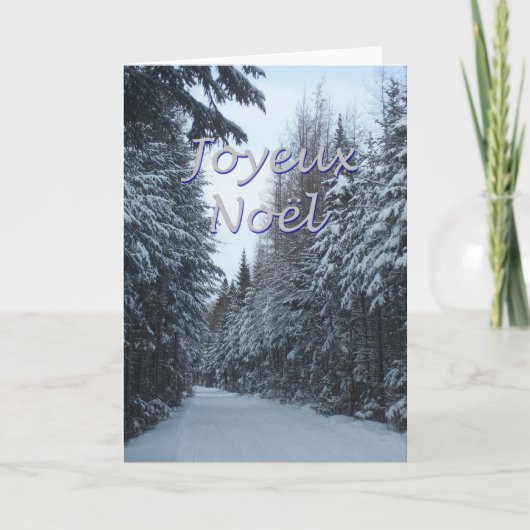 ノエル2 シーズンカード (正面)