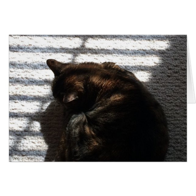 ノオンタイム昼寝、カード (正面横)