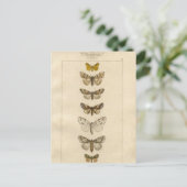 ノクタネス葉書 ポストカード (スタンド正面)