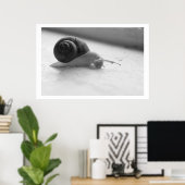 ノクターミア写真白黒カタツムリのポスター ポスター (ホームオフィス)