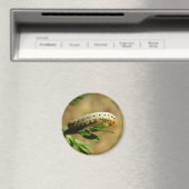 ノコギリの幼虫マグネット マグネット (インサイチュ (食洗機))